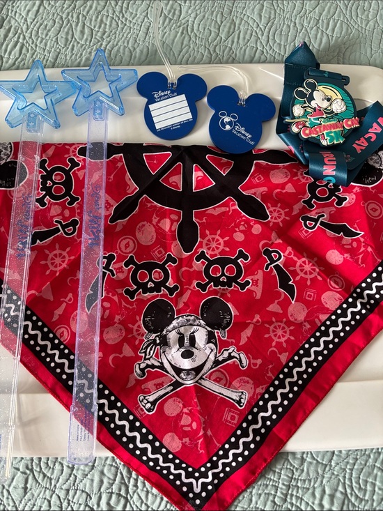 Disney Other - Disney Cruise bundle